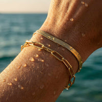 Thumbnail for Paperclip Chain Bracelet by Brother & Sisters, featuring premium stainless steel, 18K gold PVD coating, and sleek design.